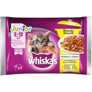 👉 Kattenvoer Multipack Whiskas Junior Maaltijdzakjes 12 x 85 g - Gevogelteselectie in Gelei 5900951273155