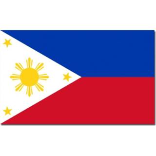 👉 Vlag Filipijnen 90 x 150 cm feestartikelen