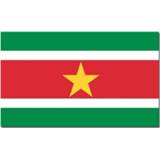 👉 Vlag active Landen thema Suriname 90 x 150 cm