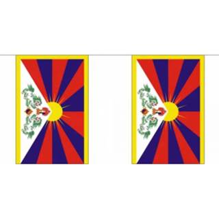 👉 Vlaggenlijn polyester multikleur Luxe Tibet 9 m 8718758255888