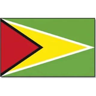 👉 Vlag Guyana 90 x 150 feestartikelen