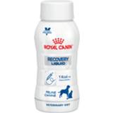 👉 Hondenvoer Royal Canin Veterinary Diet Recovery Liquid Cat/Dog - 3x 200 ml 3182550858755