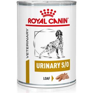 👉 Hondenvoer Royal Canin Veterinary Diet Urinary S/O Wet - 410 g 9003579310632