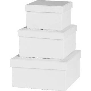 👉 Kartonnen doos stuks active dozen vierkant- 3 7320182644490