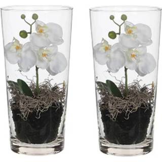 👉 Orchidee witte kunststof wit Set van 2 Orchidee/Phalaenopsis kunstplanten 30 cm in vaas voor 8720147734126
