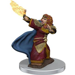 👉 D&D Icons of the Realms Premium Miniature pre-painted Female Dwarf Wizard Case (6) 634482930564