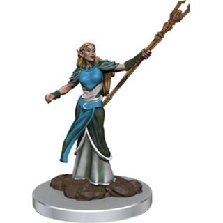 👉 D&D Icons of the Realms Premium Miniature pre-painted Female Elf Sorcerer Case (6) 634482930533