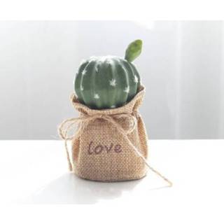 👉 Ornament linnen active Simulatie Cactus Plant Ingemaakte Letters Desktop Ornamenten (Prickly Pear C)