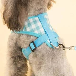 👉 Borstband blauw m active Ademende geruite voor hondenhalsband, maat: (blauw)