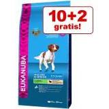 👉 Extra voordelig! Eukanuba droogvoer - Daily Care Sensitive Digestion 12 kg 8710255172149