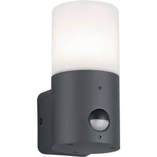 Muurlamp active Trio international Design Hoosic met bewegingsmelder 222260142 4017807382570