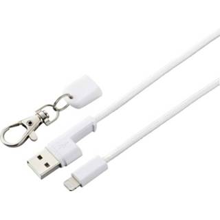 👉 Wit Renkforce iPhone/iPad/iPod USB-kabel [1x USB-A 2.0 stekker - 1x Apple dock-stekker Lightning] 0.95 m 4064161080093