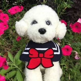 👉 Handdoek l active 2 STKS Handgeweven Pet Speeksel Handdoek, Maat: 35 - 40cm (Bow)