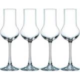 👉 Kristalglas transparant Nachtmann Vivendi Premium Portglazen - 4 st. 4003762227698