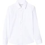 👉 Male wit Camicia