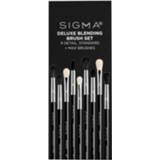 👉 Unisex Sigma Deluxe Blending Brush Set