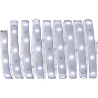 👉 Paulmann 79875 LED-strip 2.5 m Daglichtwit