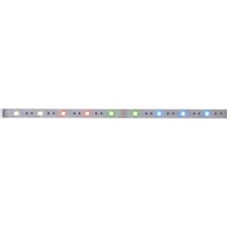 Ledstrip Paulmann 79865 LED-strip 12 mm RGBW 4000870798652
