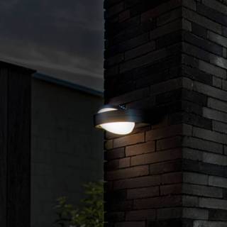 👉 Buitenwandlamp antraciet drukgegoten aluminium warmwit a+ LED Fele met kantelbare kap