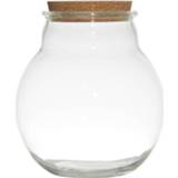 👉 Vaas kurk glas transparant Glazen Voorraadpot/snoeppot/terrarium Van 19 X 21.5 Cm Met Dop - Bewaarpot/opslagpot 8720276748780