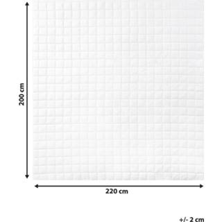 👉 Dekbed polyester wit 200 x 220 cm JANNU 4251682262194