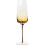 👉 Champagne glas active Champagneglas AMBER