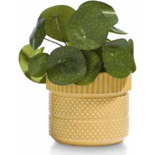 👉 Active Coco maison Pot LUCY 8712696505685