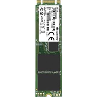 👉 Transcend MTS800 16 GB NVMe/PCIe M.2 SSD 2280 harde schijf SATA 6 Gb/s Retail TS16GMTS800