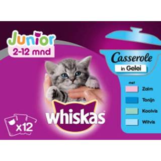 👉 Kattenvoer Whiskas Junior Casserole Maaltijdzakjes Classic 12x 100gr - Zalm Tonijn Gelei 12x85 gram 5900951273070