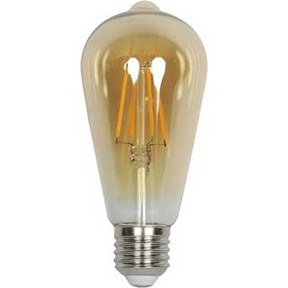Goud nederlands Lamp filament LED DIM Edison 2