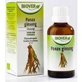 👉 Ginseng Biover Panax tinctuur bio 50ml 5412141002150