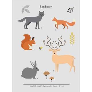 👉 Poster grijs active Little&pure dubbelzijdige bosdieren - 7106629086203