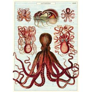 Poster active Cavallini&co - octopods