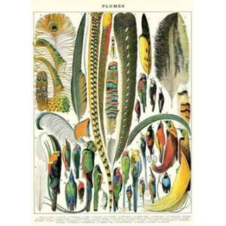 Poster active Cavallini&co - plumes