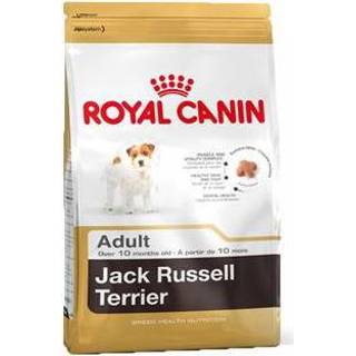 👉 Adult hondenvoer Royal Canin Jack Russell Terrir