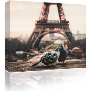 👉 Color-GeenKleur One Size GeenKleur canvas Pigeons and eiffel tower 5060652120360