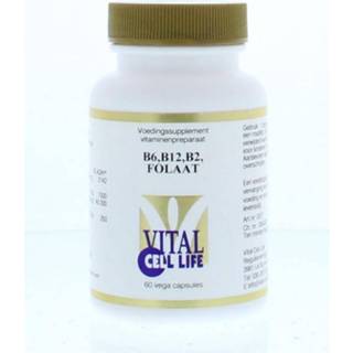 Vitamine capsules Enkel B6/B12/B2 folaat 8718053190228