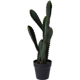 👉 Kunstplant groen One Size - cactus Euphorbia 55 cm kunst kamerplant 8719538440760