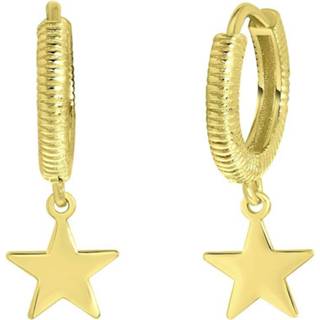 👉 Oorbel One Size ster lucardi goud zilver zilveren goldplated oorbellen 8719802237188