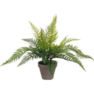 👉 Kunst plant active groen Varen kunstplant/kamerplant H40 cm x D36