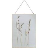 👉 Fotolijst active Pressed droogbloemen 70x50cm 8714713117628