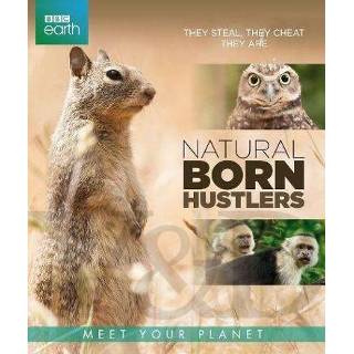 👉 BBC Earth - Natural Born Hustlers