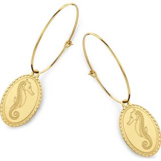 👉 Oorring goudkleurig One Size no color CO88 Collection Celestial 8CE 70050 Stalen Oorringen - Ovaal 25 mm Zeepaard 8720143051821