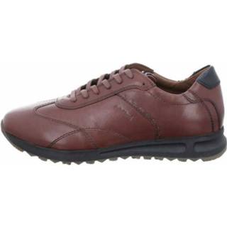 👉 Veterschoenen bruin Josef Seibel 4056828915503