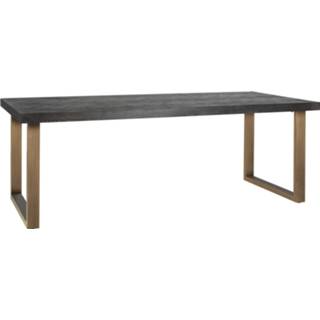 👉 Eettafel brass active Blackbone 220x100cm