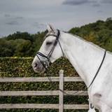 👉 Hoofdstel full lak Dyon Dressuur Rondgenaaid Brede Neusriem 5404022044687