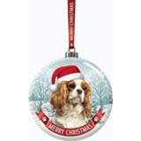 👉 Kerstbal active Glazen hond Cavalier King Charles Spaniel 7 cm