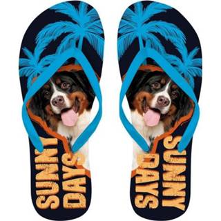 Slippers zwart rubber Plenty Gifts teenslippers Berner Sennen maat 40-42 8717127446421