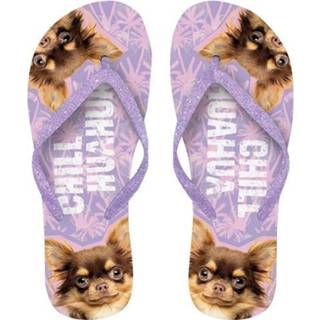 👉 Slippers paars rubber Plenty Gifts teenslippers Chihuahua maat 37-39 8717127446513