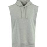 Sweater katoen l vrouwen grijs America Today susan 8720513064819